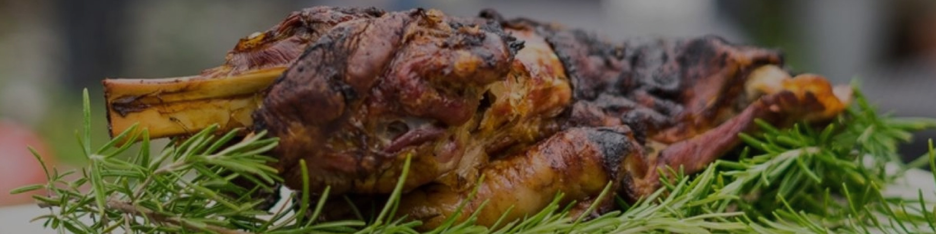 Lamb