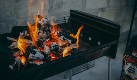 Wood Braai